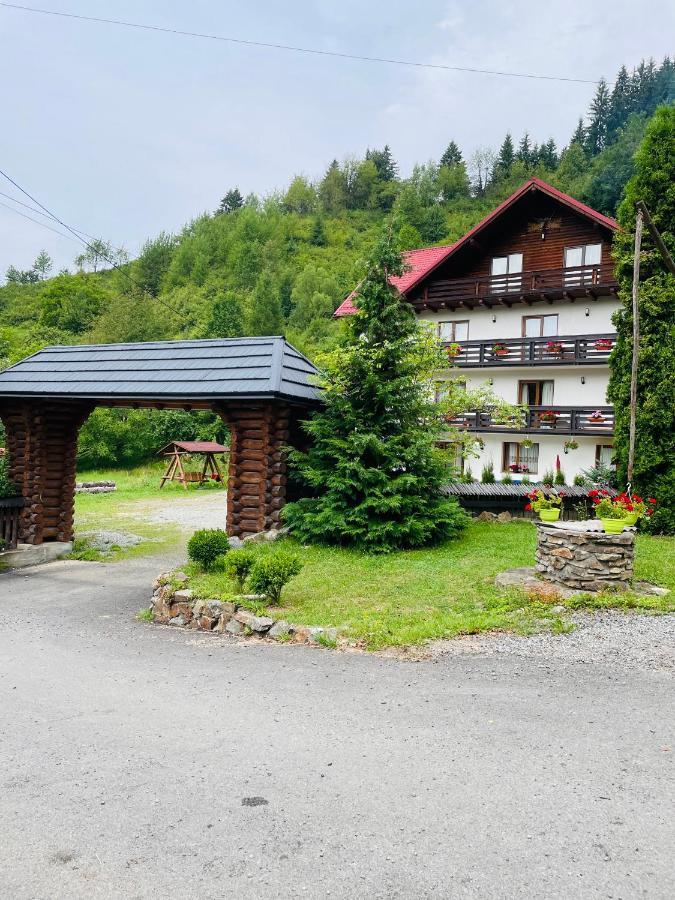 Pensiunea Pietrosul Borşa Eksteriør billede